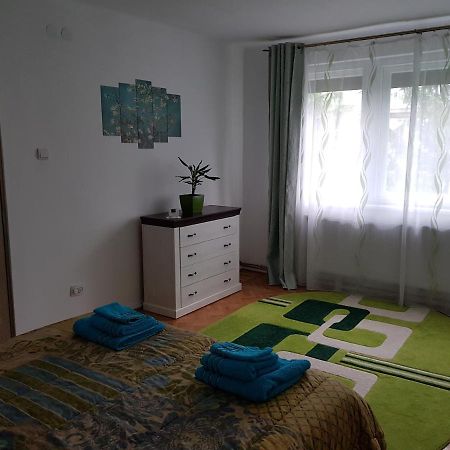 Aris Apartment Хунедоара Екстер'єр фото