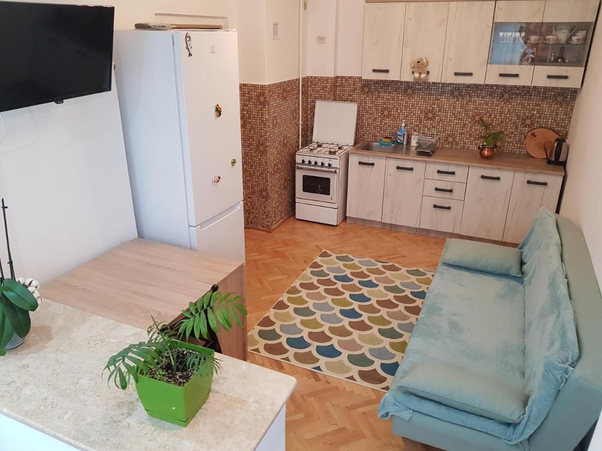 Aris Apartment Хунедоара Екстер'єр фото